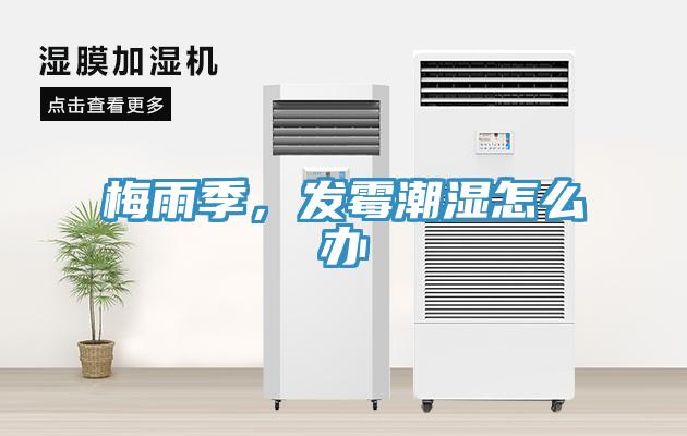 梅雨季,發(fā)霉潮濕怎么辦