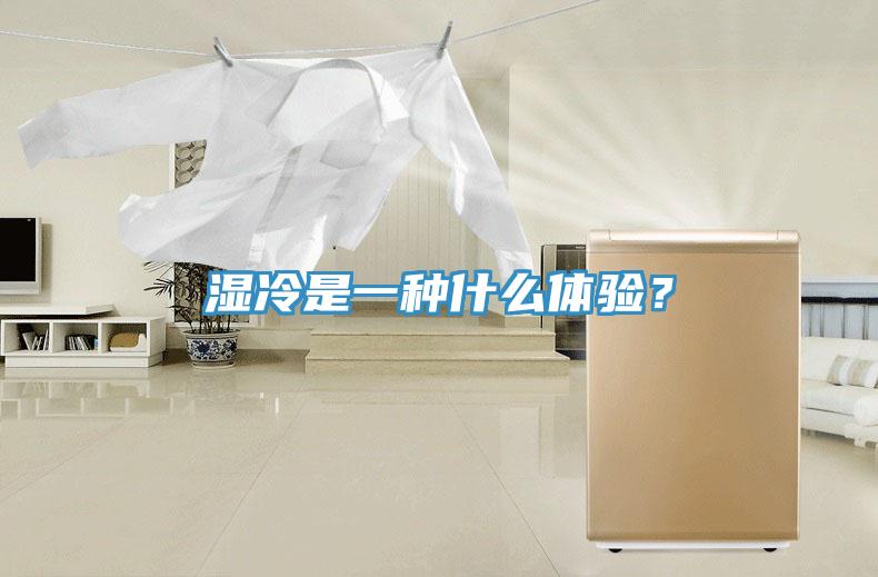 濕冷是一種什么體驗？