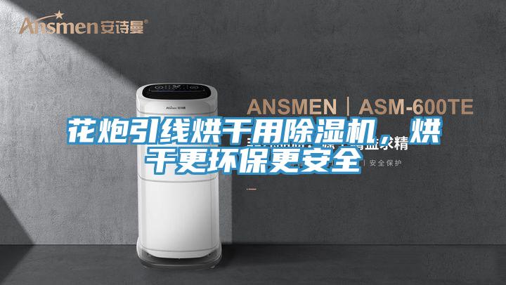 花炮引線烘干用除濕機，烘干更環保更安全