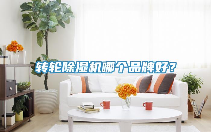 轉(zhuǎn)輪除濕機(jī)哪個品牌好?