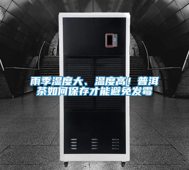 雨季濕度大、溫度高！普洱茶如何保存才能避免發(fā)霉