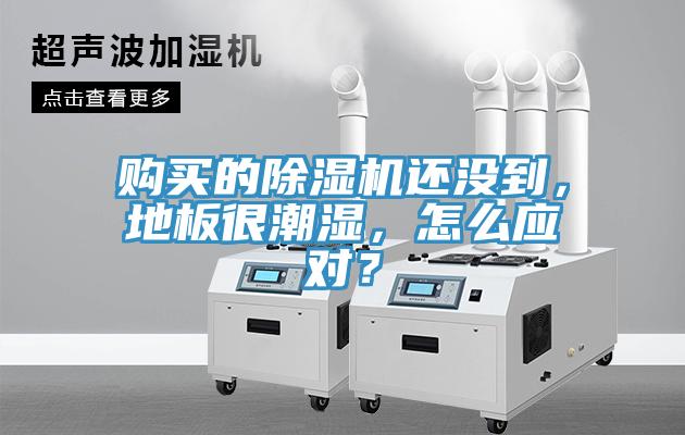 購買的除濕機還沒到,地板很潮濕,怎么應對?