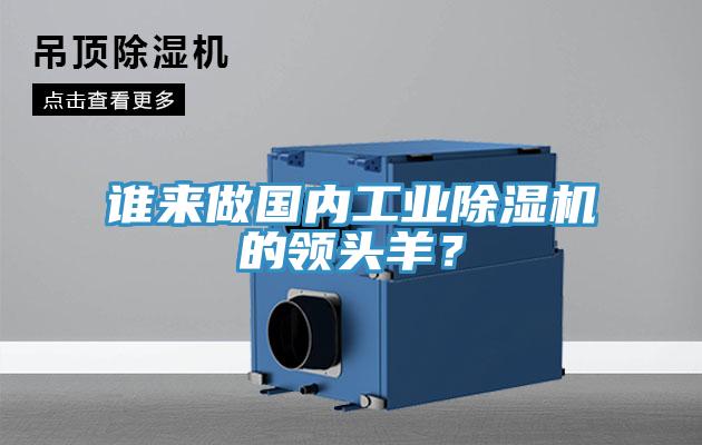 誰(shuí)來(lái)做國(guó)內(nèi)工業(yè)除濕機(jī)的領(lǐng)頭羊？