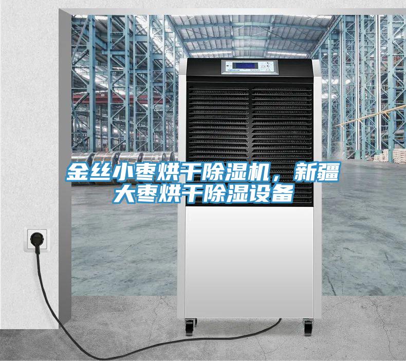 金絲小棗烘干除濕機，新疆大棗烘干除濕設備