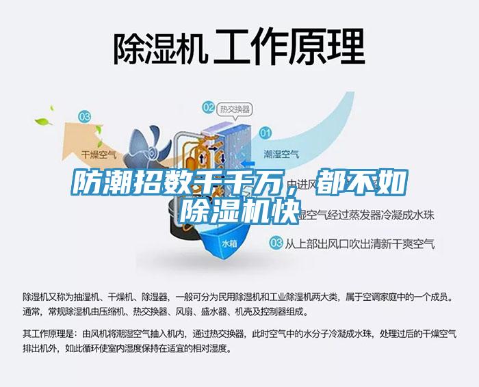 防潮招數千千萬,都不如除濕機快