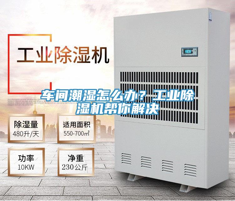 車間潮濕怎么辦?工業除濕機幫你解決