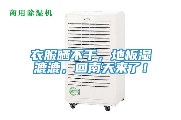 衣服曬不干，地板濕漉漉，回南天來了！
