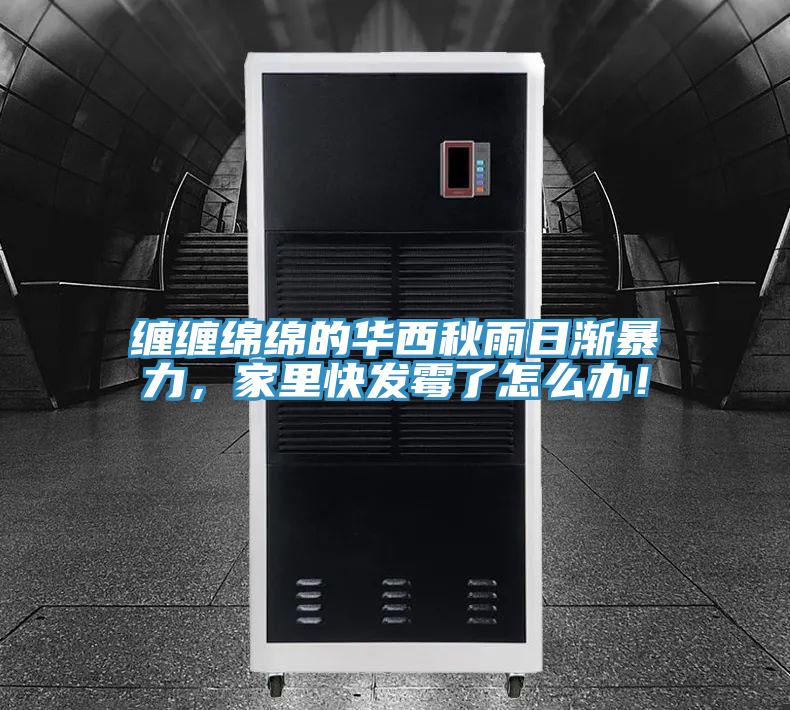 纏纏綿綿的華西秋雨日漸暴力，家里快發霉了怎么辦！