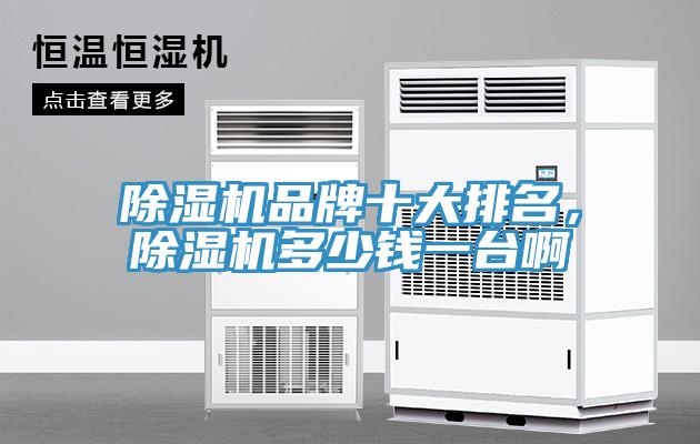 除濕機品牌十大排名,除濕機多少錢一臺啊