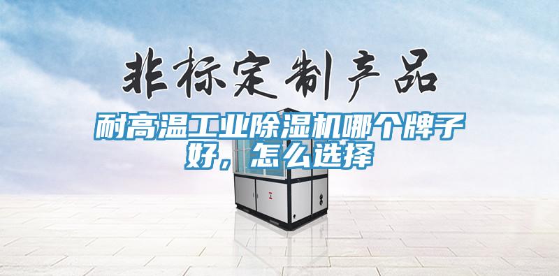 耐高溫工業除濕機哪個牌子好，怎么選擇