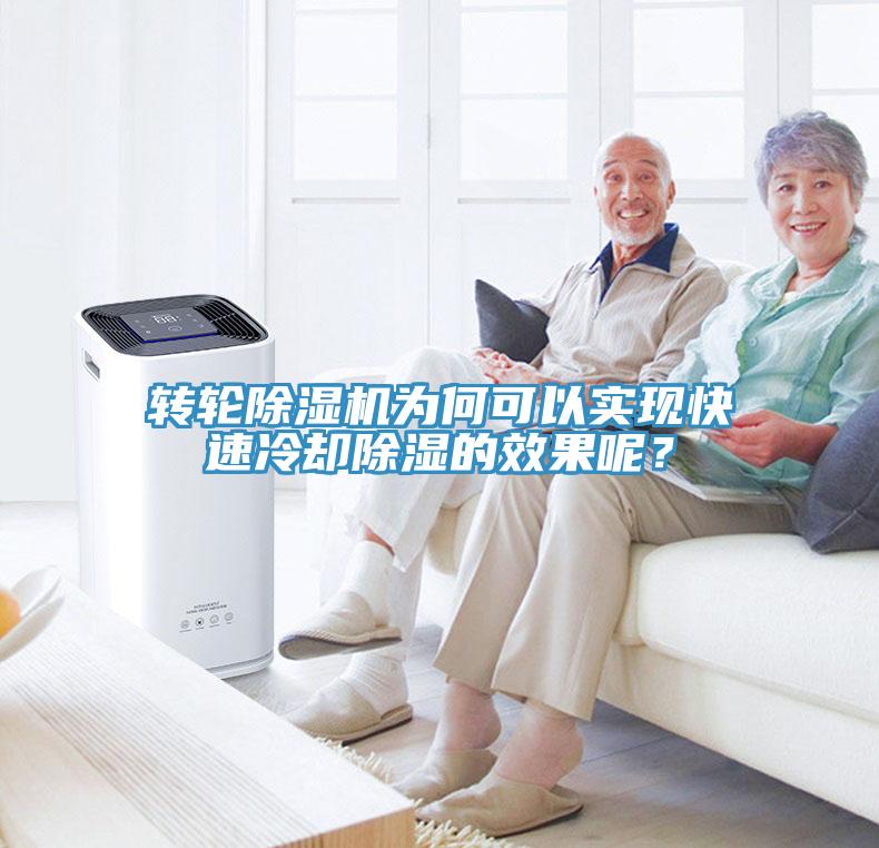 轉輪除濕機為何可以實現快速冷卻除濕的效果呢?