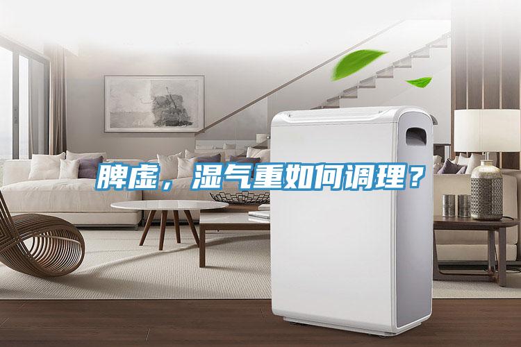 脾虛，濕氣重如何調理？