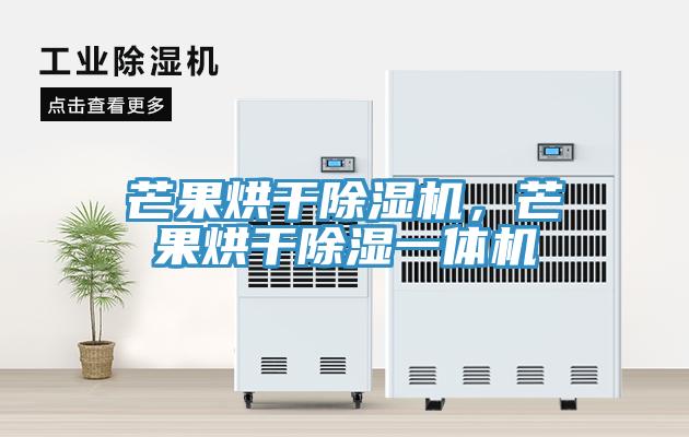 芒果烘干除濕機，芒果烘干除濕一體機