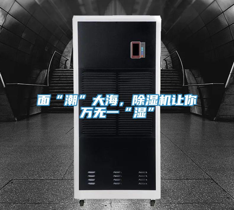 面“潮”大海，除濕機(jī)讓你萬無一“濕”