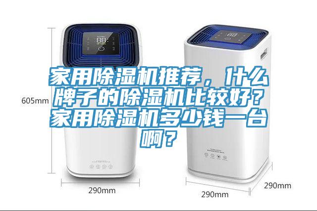 家用除濕機推薦，什么牌子的除濕機比較好？家用除濕機多少錢一臺??？