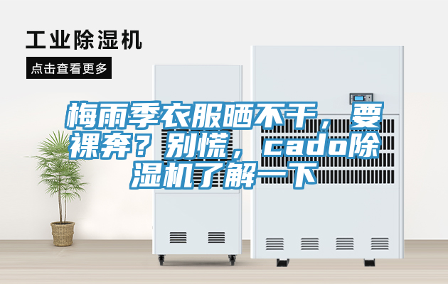 梅雨季衣服曬不干,要裸奔?別慌,cado除濕機了解一下