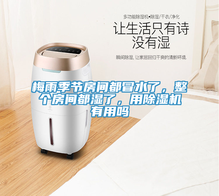 梅雨季節房間都冒水了，整個房間都濕了，用除濕機有用嗎