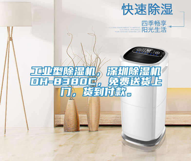 工業型除濕機，深圳除濕機DH-8380C，免費送貨上門，貨到付款。