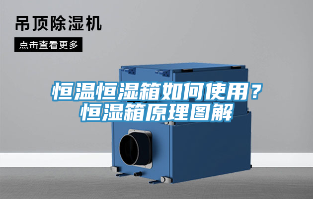 恒溫恒濕箱如何使用?恒濕箱原理圖解
