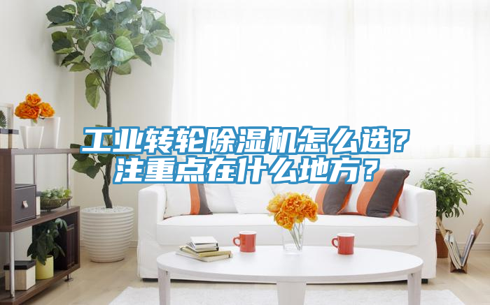 工業轉輪除濕機怎么選？注重點在什么地方？