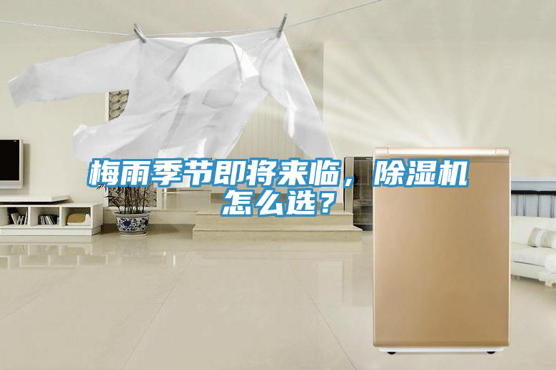 梅雨季節即將來臨，除濕機怎么選？