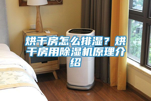 烘干房怎么排濕？烘干房用除濕機原理介紹