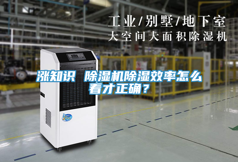 漲知識 除濕機除濕效率怎么看才正確？
