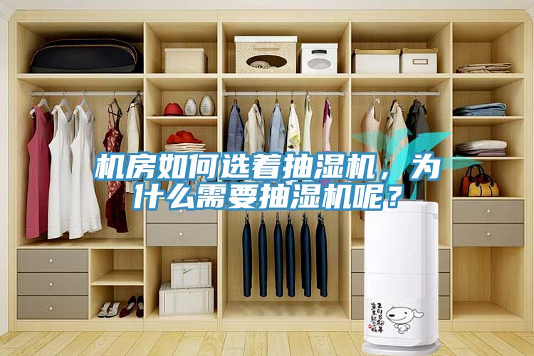 機房如何選著抽濕機，為什么需要抽濕機呢？