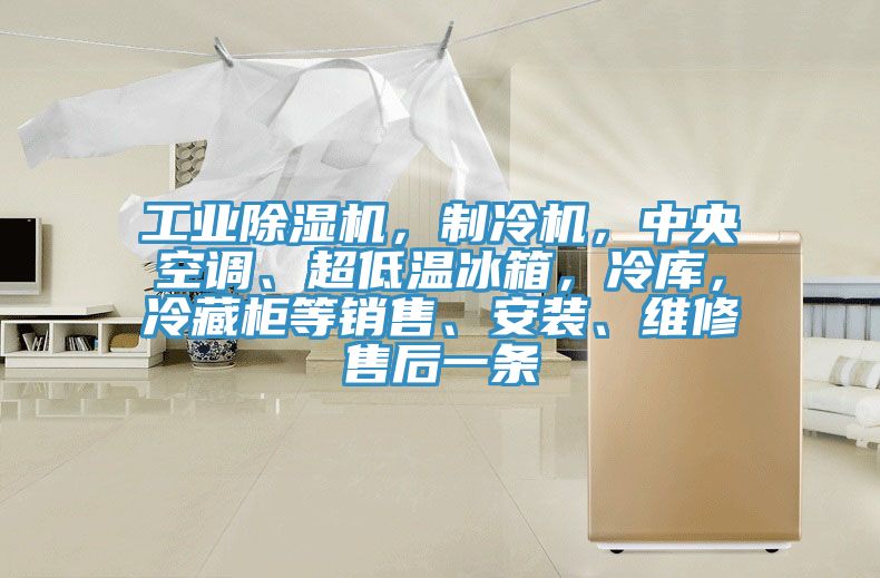 工業(yè)除濕機,制冷機,中央空調、超低溫冰箱,冷庫,冷藏柜等銷售、安裝、維修售后一條