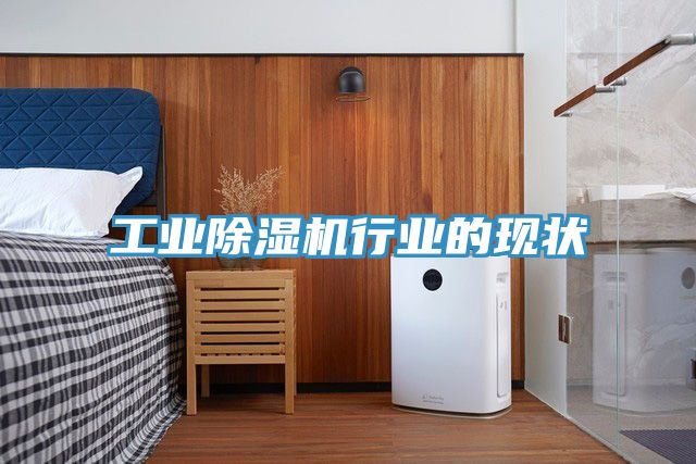 工業(yè)除濕機(jī)行業(yè)的現(xiàn)狀