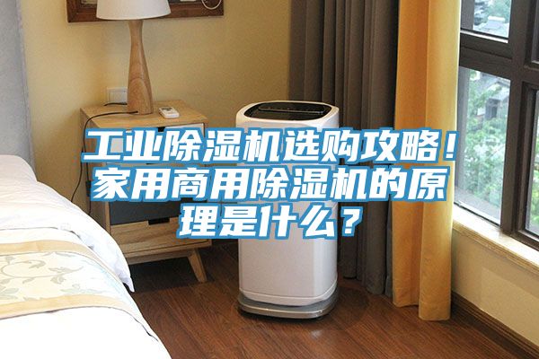 工業(yè)除濕機(jī)選購攻略！家用商用除濕機(jī)的原理是什么？