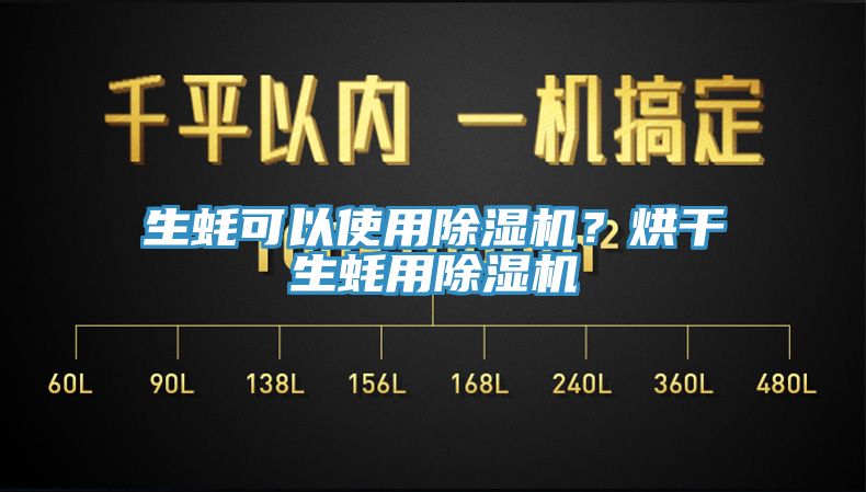 生蠔可以使用除濕機？烘干生蠔用除濕機