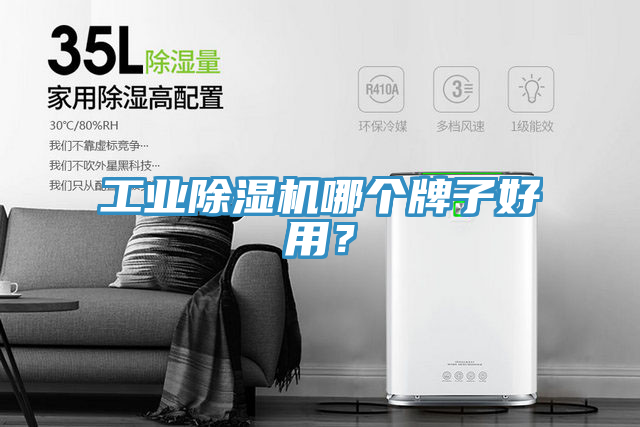 工業(yè)除濕機(jī)哪個牌子好用？