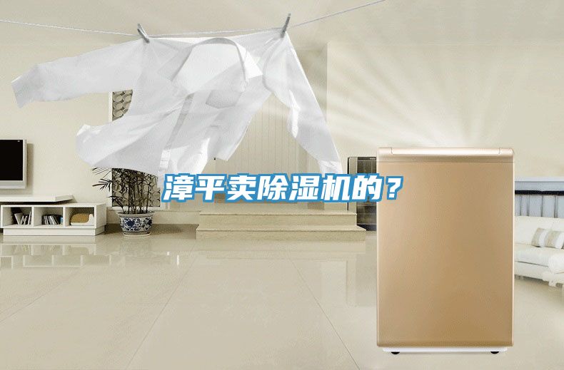 漳平賣(mài)除濕機(jī)的？