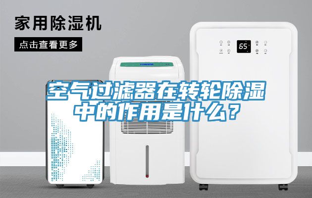 空氣過濾器在轉輪除濕中的作用是什么？