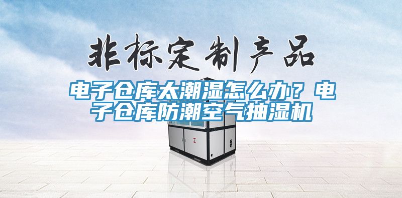 電子倉庫太潮濕怎么辦？電子倉庫防潮空氣抽濕機
