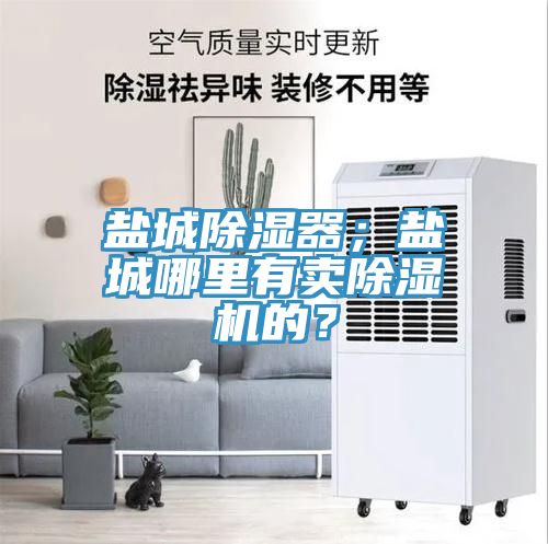 鹽城除濕器；鹽城哪里有賣除濕機的？