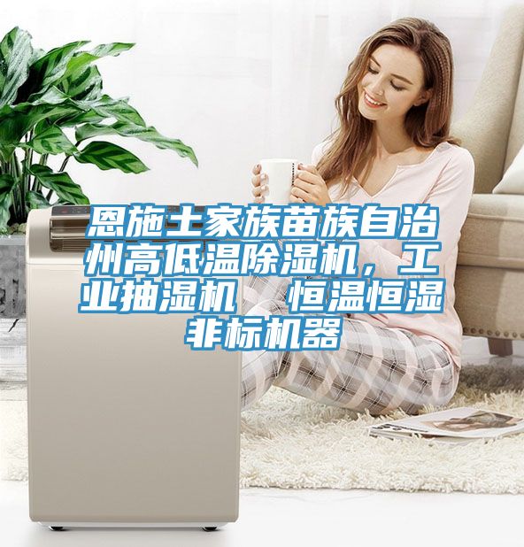 恩施土家族苗族自治州高低溫除濕機，工業抽濕機  恒溫恒濕非標機器