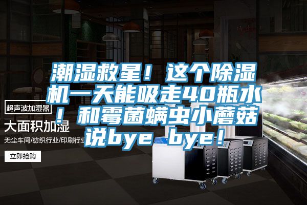 潮濕救星！這個除濕機一天能吸走40瓶水！和霉菌螨蟲小蘑菇說bye bye！