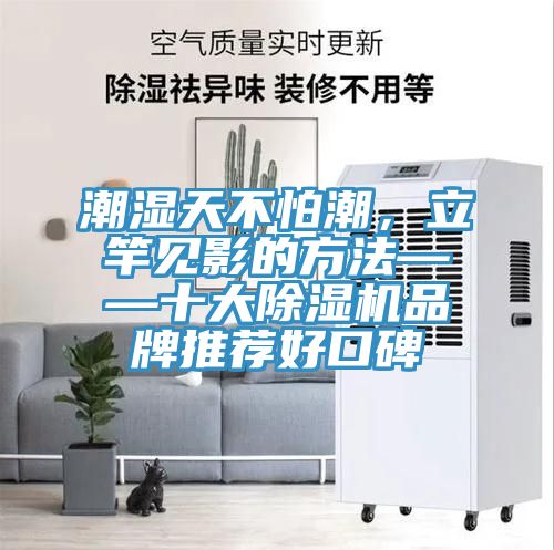 潮濕天不怕潮，立竿見影的方法——十大除濕機品牌推薦好口碑