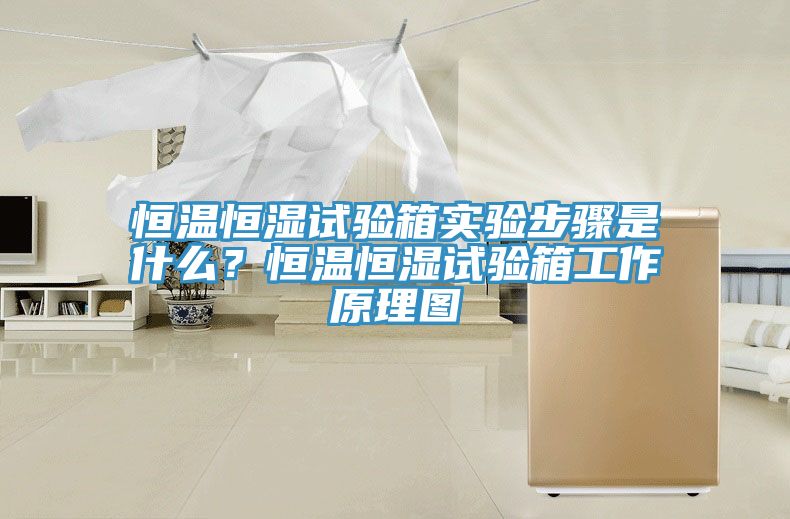 恒溫恒濕試驗箱實驗步驟是什么？恒溫恒濕試驗箱工作原理圖