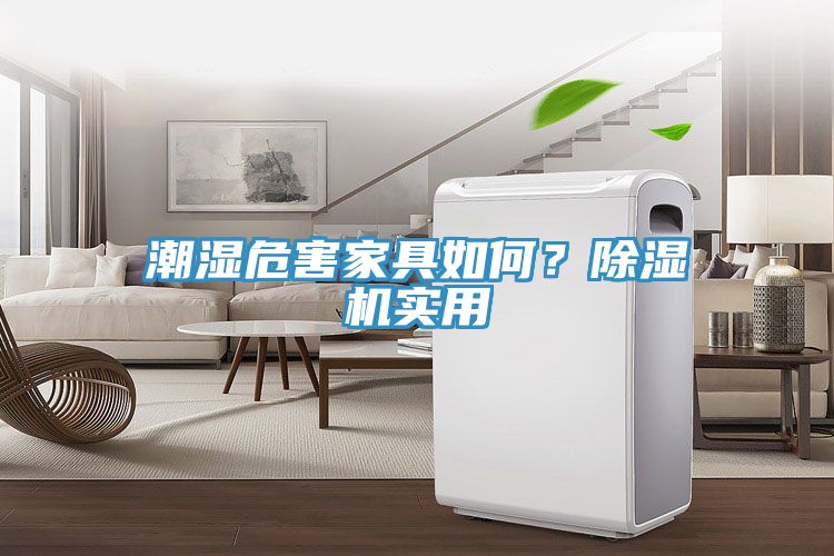 潮濕危害家具如何？除濕機實用