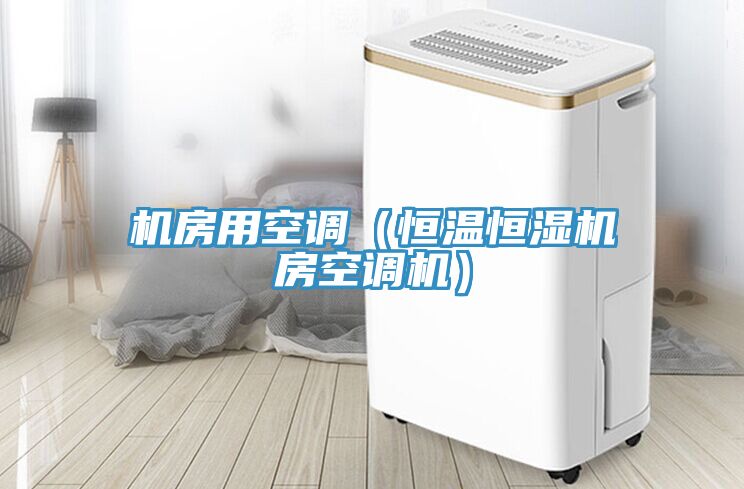 機房用空調(恒溫恒濕機房空調機)