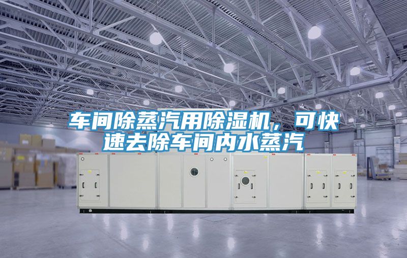 車間除蒸汽用除濕機,可快速去除車間內水蒸汽