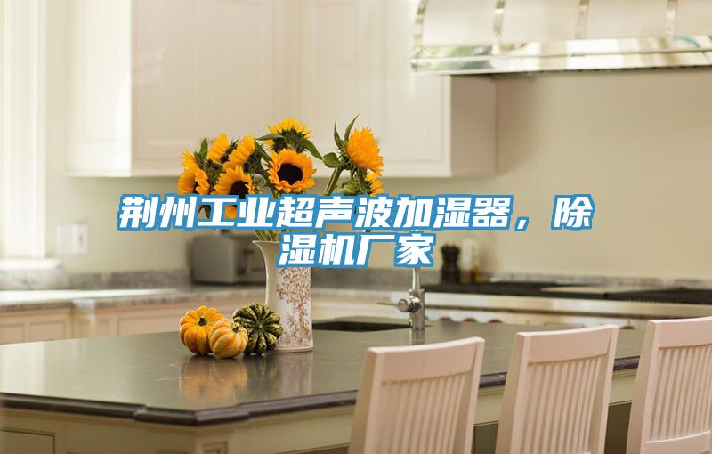 荊州工業超聲波加濕器，除濕機廠家