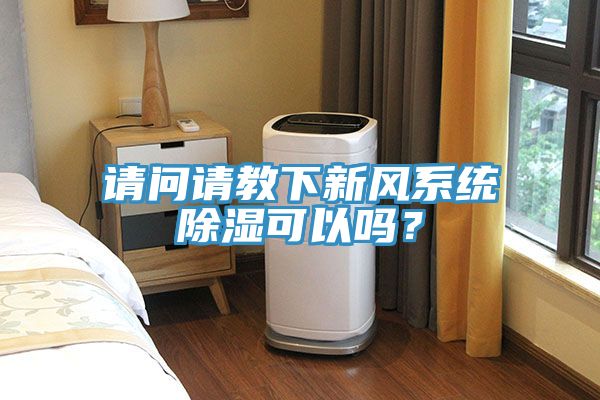 請問請教下新風系統除濕可以嗎?