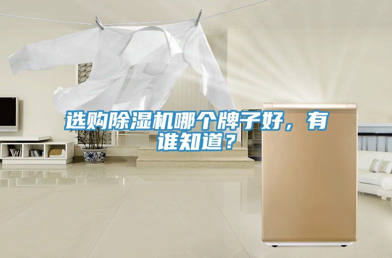 選購(gòu)除濕機(jī)哪個(gè)牌子好，有誰(shuí)知道？