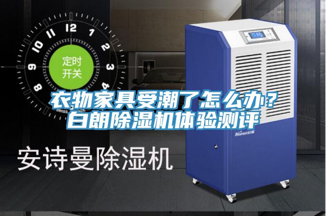 衣物家具受潮了怎么辦？白朗除濕機體驗測評