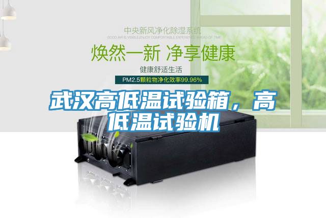 武漢高低溫試驗箱,高低溫試驗機