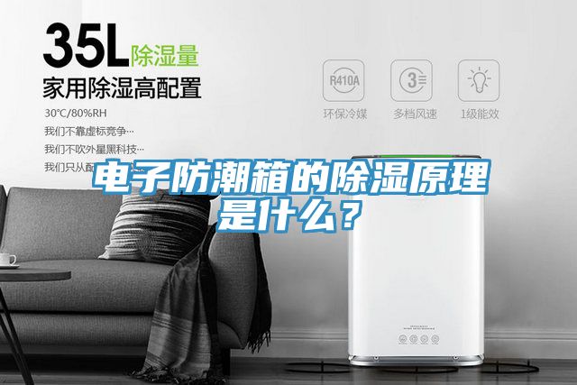 電子防潮箱的除濕原理是什么？